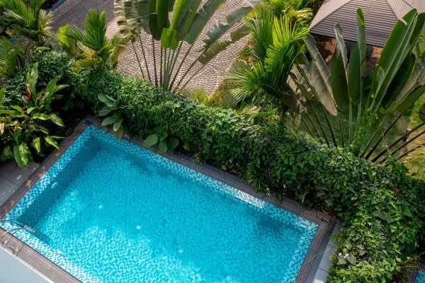 Image Title Goes Here