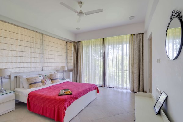 Image Title Goes Here