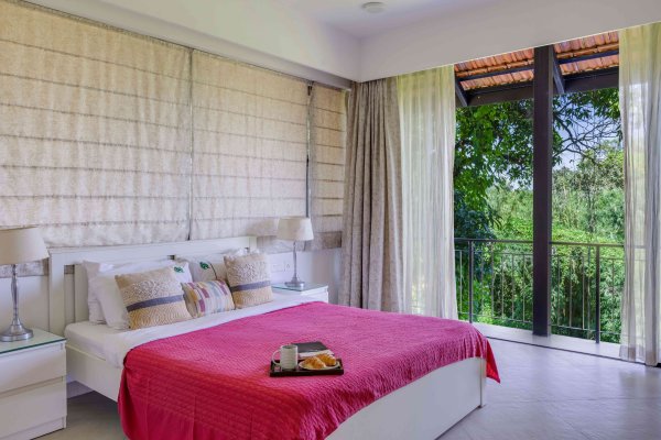 Image Title Goes Here