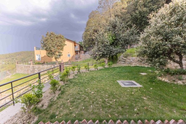 Image Title Goes Here