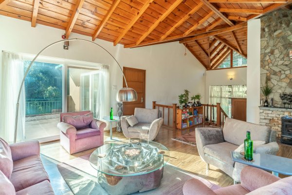 Image Title Goes Here