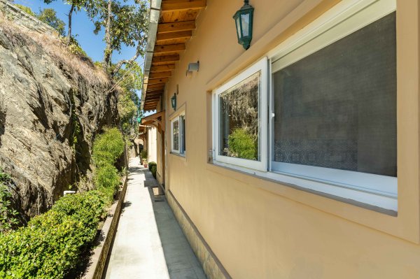 Image Title Goes Here