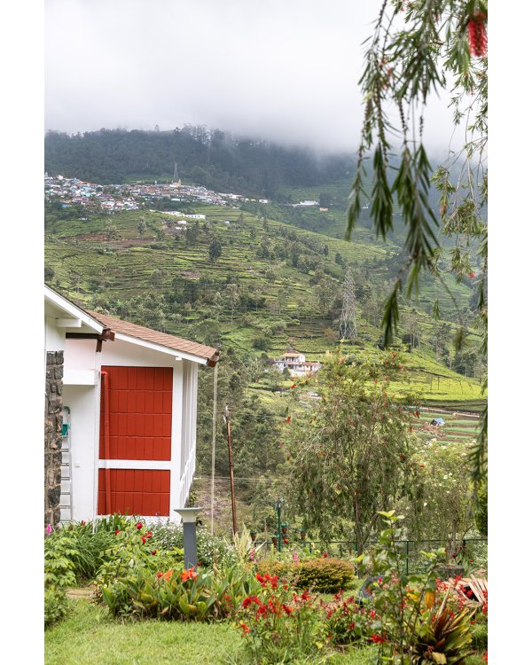 Image Title Goes Here