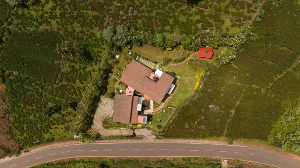 Image Title Goes Here