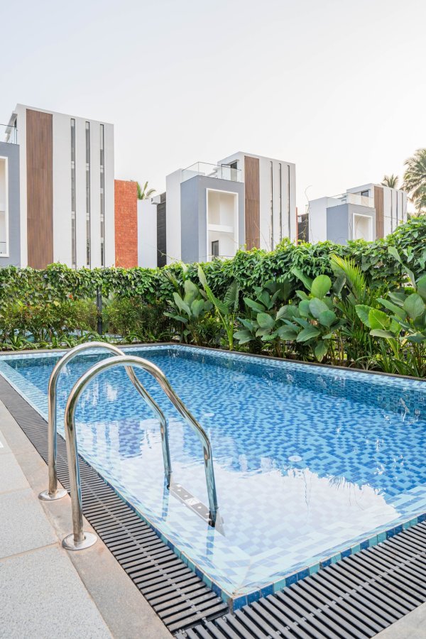 Image Title Goes Here